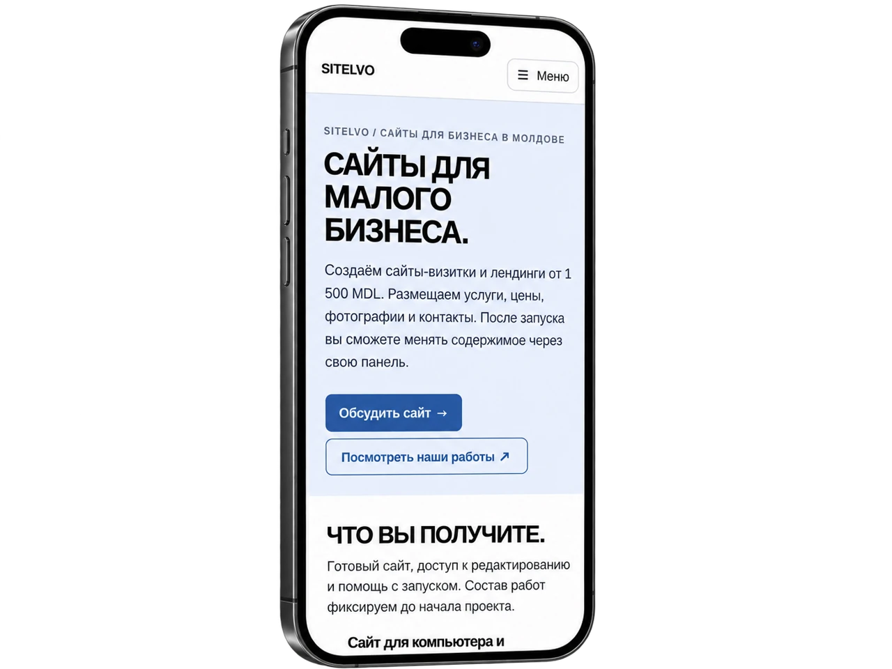 SITE-URI PENTRU AFACERI MICI.